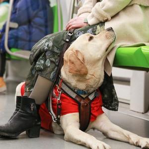微信分享圖