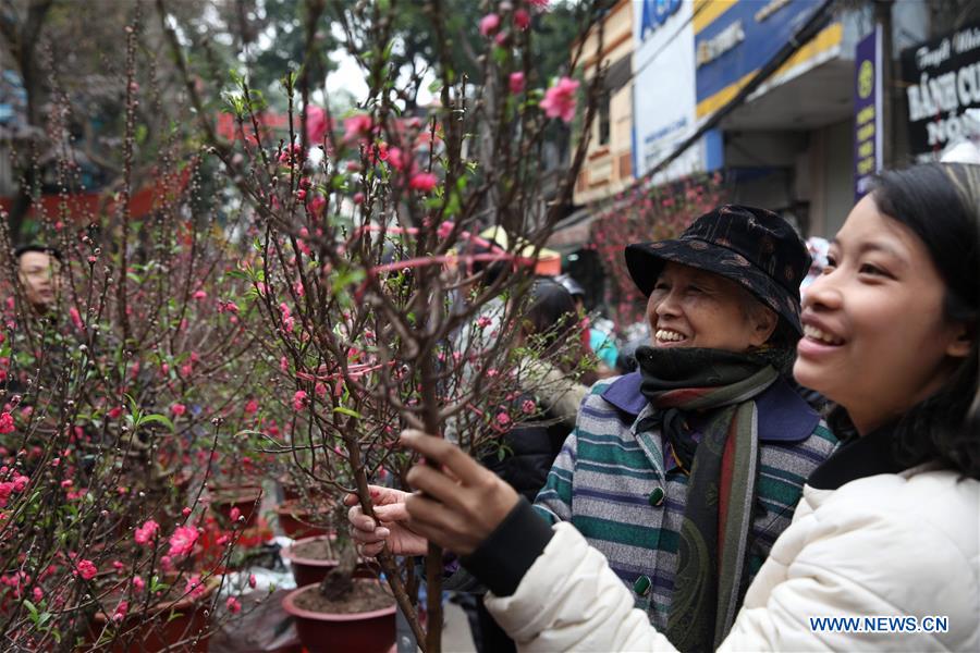 VIETNAM-HANOI-SPRING FESTIVAL-PREPARATIONS