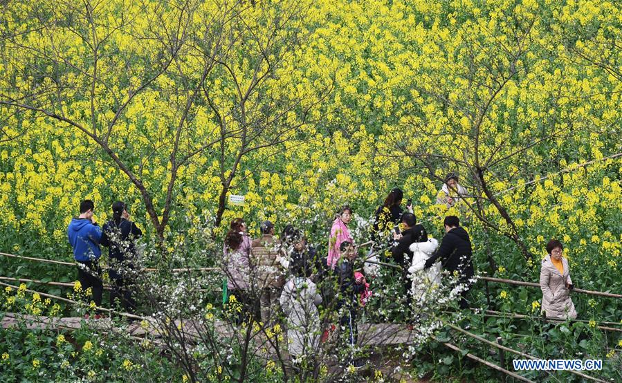 CHINA-CHONGQING-COLE FLOWER (CN)