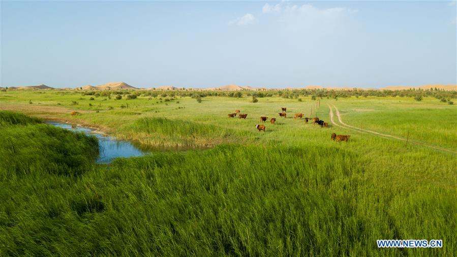 (EcoChina)CHINA-BEIJING-HORTICULTURAL EXPO-INNER MONGOLIA (CN)