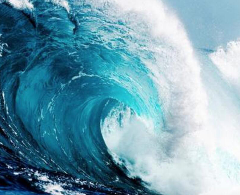 【財經(jīng)翻譯官】浪奔、浪流