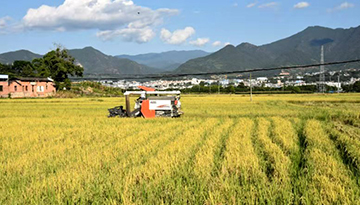 云南省糧食安全宣傳教育基地落戶雙江