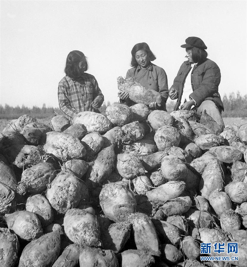 （圖文互動）（2）為了“中國號”巨輪揚(yáng)帆遠(yuǎn)航——中國共產(chǎn)黨領(lǐng)導(dǎo)下的人民軍隊忠于祖國、服務(wù)人民啟示錄
