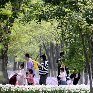 微信分享圖