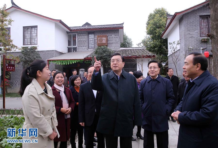這是11月22日，張德江來到成都郫縣青杠樹村，了解村民委員會工作情況。 新華社記者 劉衛兵 攝 