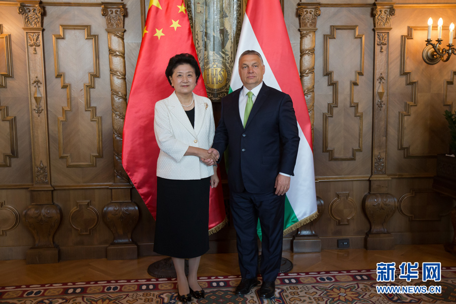  6月21日，國務(wù)院副總理劉延?xùn)|（左）在匈牙利布達(dá)佩斯國會大廈會見匈牙利總理歐爾班。 新華社發(fā)（弗爾季·奧蒂洛攝）