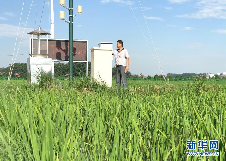 （新華全媒頭條·紀(jì)念改革開放40年特稿·圖文互動）（6）向著新航程揚帆奮進(jìn)！——從小崗精神看中國改革開放40年