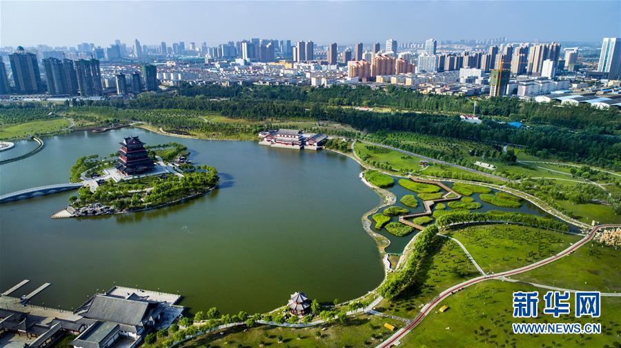 (壯闊東方潮 奮進新時代——慶祝改革開放40年)(1)感受“毛烏素”的生機