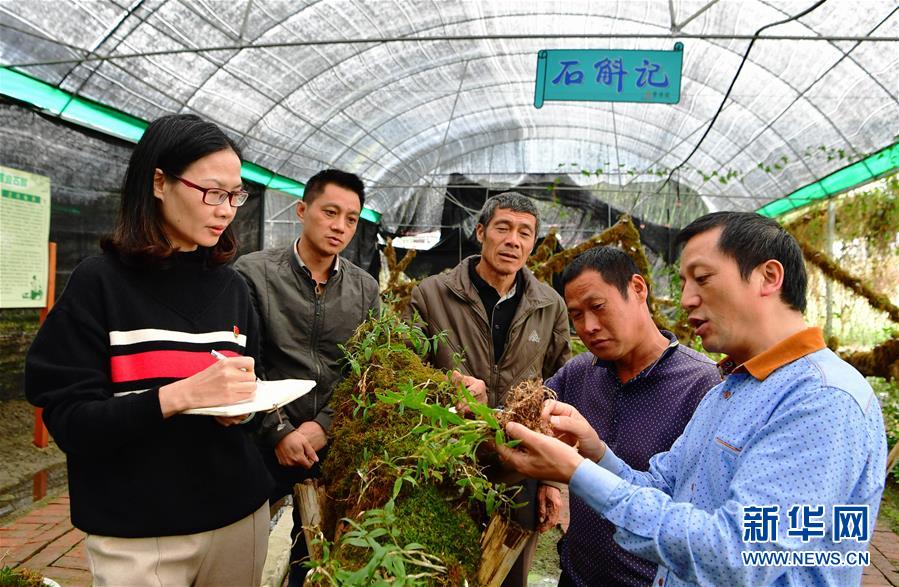 (新華全媒頭條·圖文互動)(3)全面從嚴治黨啟新局——寫在十九屆中央紀委三次全會召開之際
