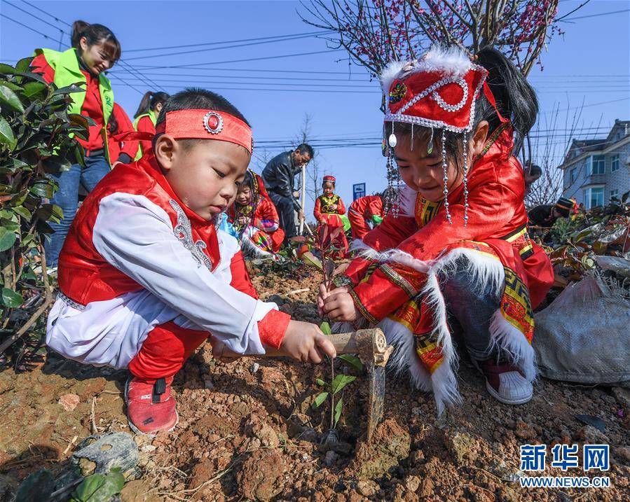 (社會(huì))(2)多民族兒童共迎植樹(shù)節(jié)