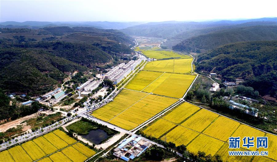 （新華全媒頭條·圖文互動(dòng)）（8）春暉沐浴寶塔山——寫(xiě)在延安各縣整體脫貧摘帽之際