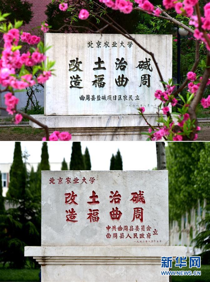 （新華全媒頭條·愛國情 奮斗者·圖文互動）（2）把論文寫在祖國的大地上——中國農業(yè)大學46年扎根河北曲周服務鄉(xiāng)村振興紀實
