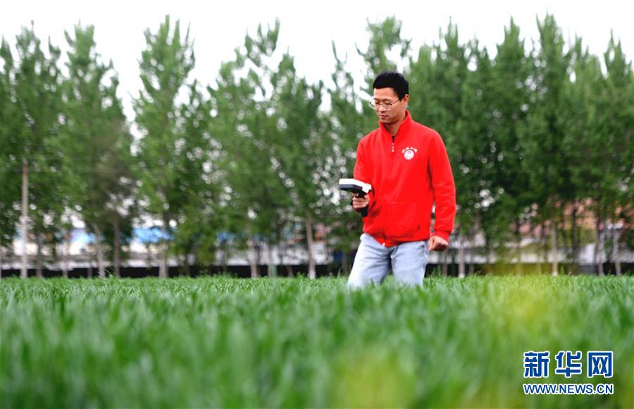 （新華全媒頭條·愛國情 奮斗者·圖文互動）（5）把論文寫在祖國的大地上——中國農業(yè)大學46年扎根河北曲周服務鄉(xiāng)村振興紀實