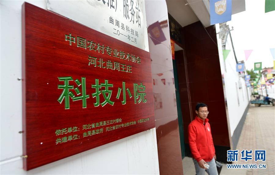 （新華全媒頭條·愛國情 奮斗者·圖文互動）（11）把論文寫在祖國的大地上——中國農業(yè)大學46年扎根河北曲周服務鄉(xiāng)村振興紀實