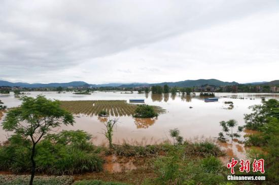資料圖：湖南省臨武縣武水鎮、南強鎮、汾市鎮、水東鎮、金江鎮等鄉鎮遭遇特大暴雨襲擊，導致大量民房和農田被淹。據不完全統計，該縣數千戶民房被淹，數十萬畝農田、果園、煙田被淹斷收，直接經濟損失達數千萬元。災情發生后，當地政府及相關部門第一時間奔赴受災鄉鎮轉移群眾，察看災情并積極組織村民排澇自救、發放救災物資、開展保險理賠等工作。目前救災工作正在有序進行，無人員傷亡。唐盛歡 攝