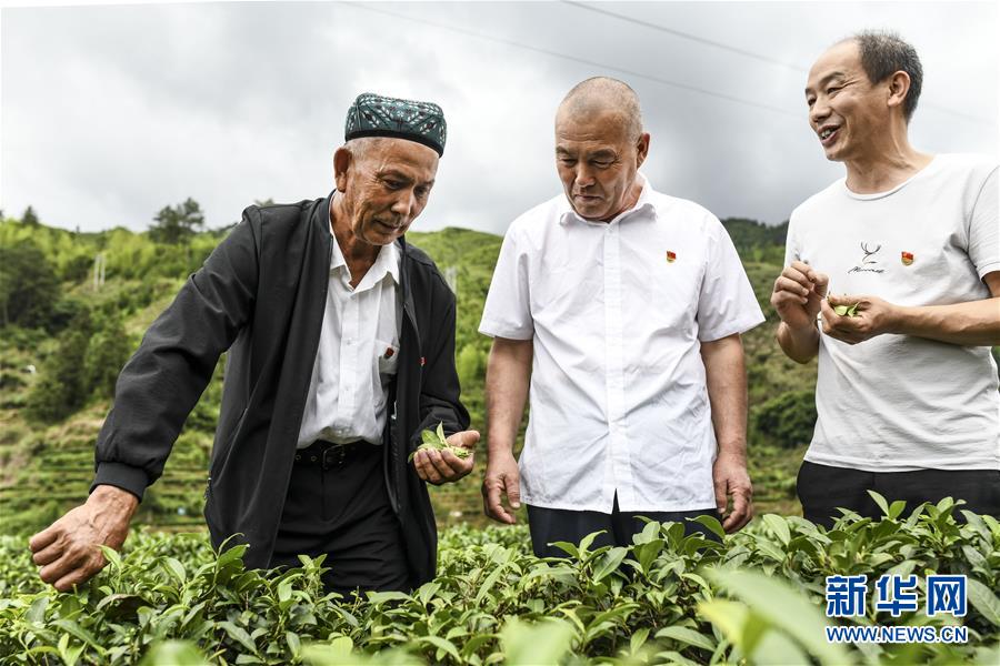 （新華全媒頭條·圖文互動）（7）同心援疆，“壯闊”祖國西北角