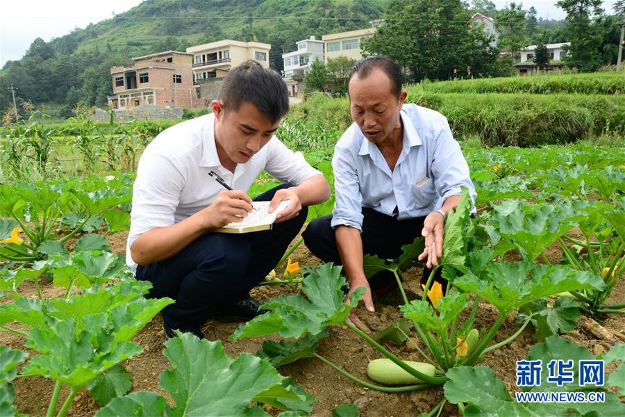 （新華全媒頭條·圖文互動）（3）咱們村里的年輕人——記奮戰(zhàn)在貴州脫貧攻堅(jiān)一線的青年