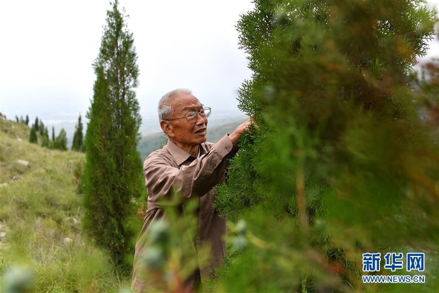 (在習近平新時代中國特色社會主義思想指引下——新時代新作為新篇章·圖文互動)(5)中條山下綠意濃——一個“資源窮縣”的生態(tài)發(fā)展之路