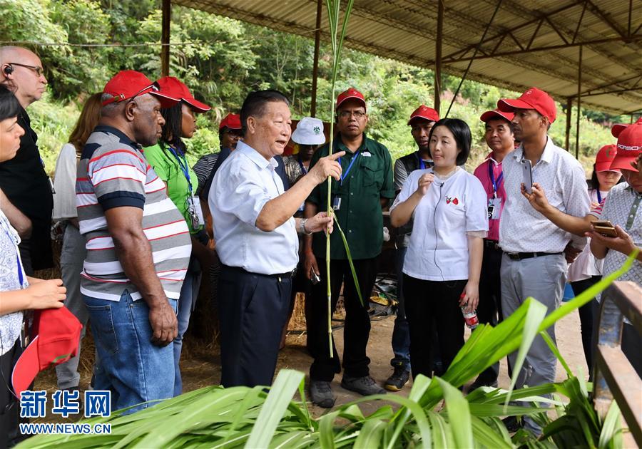（不忘初心、牢記使命·圖文互動）（5）拳拳寸草心 濃濃報國情——記“菌草之父”林占熺