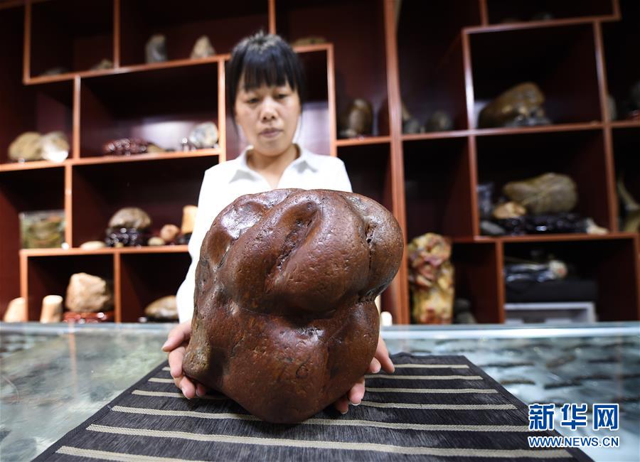 (圖文互動)(6)黑龍江海倫發(fā)現(xiàn)罕見古生物群