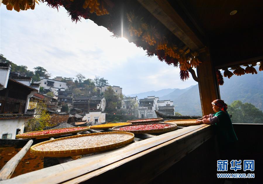 （圖文互動）（5）鄉(xiāng)村攝影師、鄉(xiāng)村“模特”、民宿店主——鄉(xiāng)村旅游推動婺源農(nóng)民生活方式發(fā)生新變化