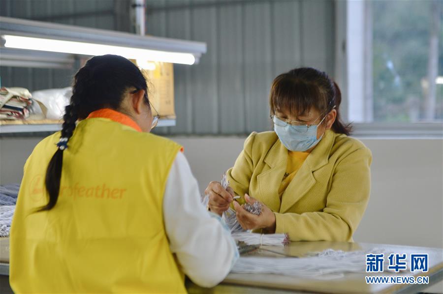 （圖文互動）（2）人回鄉、錢回流、企回遷——一個大石山區貧困縣的返鄉創業故事 