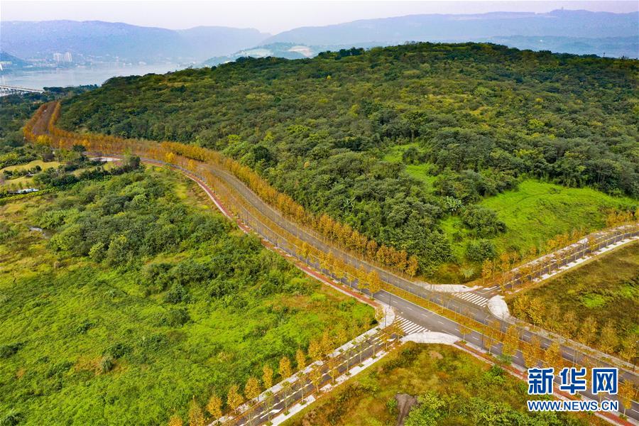 （四中全會精神在基層·圖文互動）（1）一江碧水串起綠色島鏈——重慶江心島“生態留白”調查