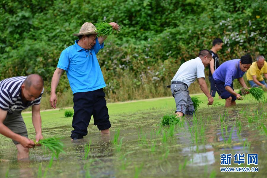 （新華全媒頭條·圖文互動）（8）干部去哪兒了？——貴州干部大規模下沉脫貧攻堅一線紀實