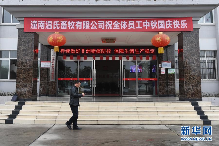 （在習(xí)近平新時(shí)代中國特色社會(huì)主義思想指引下——新時(shí)代新作為新篇章·總書記關(guān)切高質(zhì)量發(fā)展·圖文互動(dòng)）（1）穩(wěn)住“一頭豬”、供好“一袋米”、配好“一籃菜