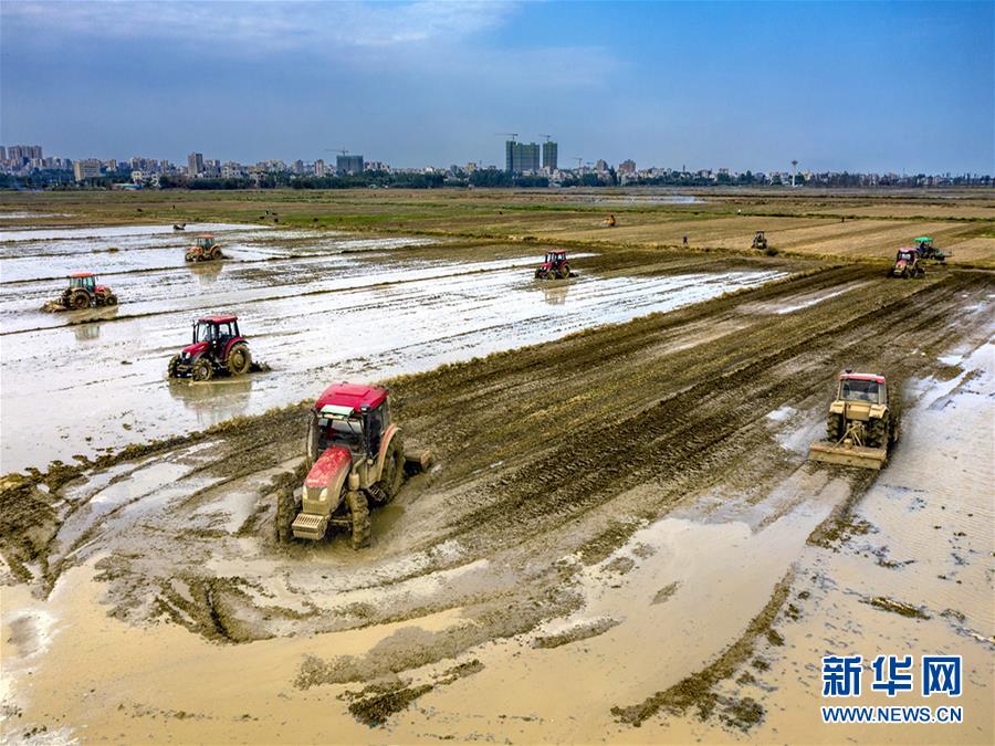 （圖文互動(dòng)）讓“世界工廠”心不慌——廣東春耕生產(chǎn)見聞