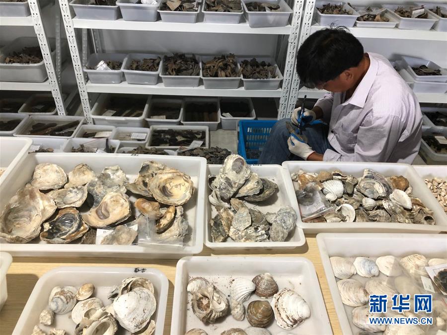 （圖文互動）（4）浙江余姚發現早于河姆渡文化1000年的史前遺址
