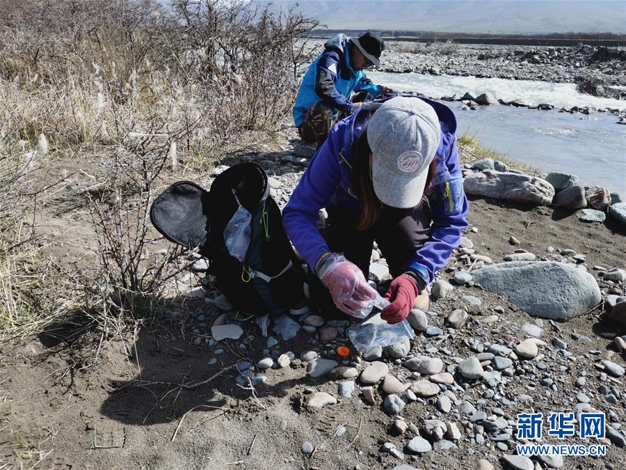 （圖文互動(dòng)）（2）祁連山國家公園首個(gè)荒漠貓專項(xiàng)調(diào)查取得階段性成果