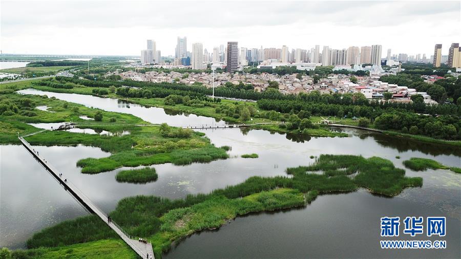 （走向我們的小康生活·圖文互動）（2）水清、地綠、空氣新——最北省份黑龍江繪就生態治理新畫卷