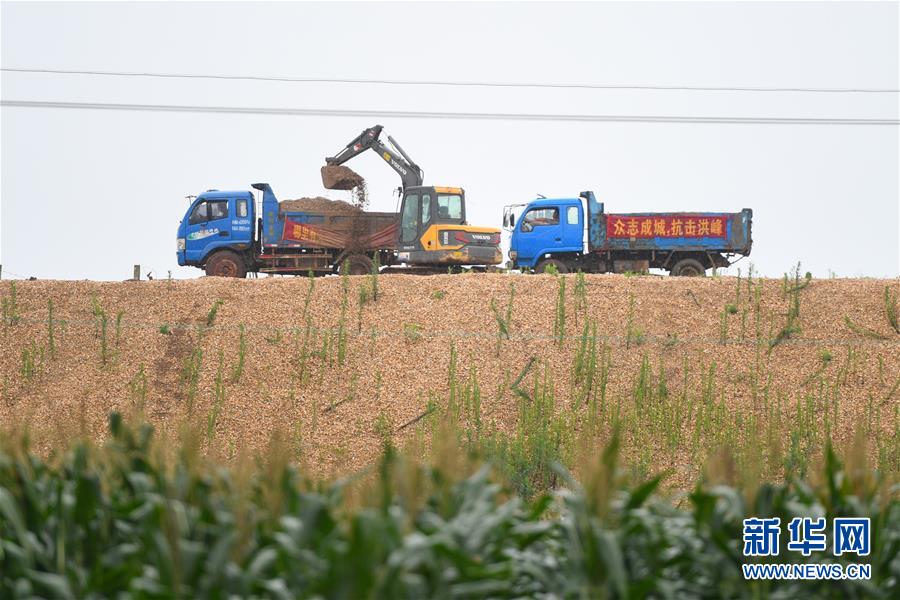 （防汛抗洪·圖文互動）（4）“險情不可怕，可怕的是不能及時發現險情”——洞庭湖巡堤查險現場直擊
