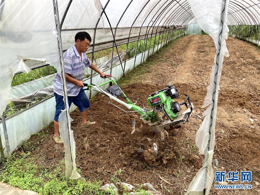 （防汛抗洪·圖文互動）（3）修路通水忙重建 補種搶收復生產——湘西山洪后恢復生產生活見聞