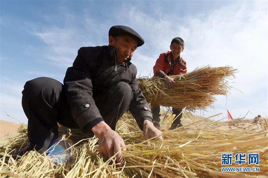 （在習(xí)近平新時(shí)代中國(guó)特色社會(huì)主義思想指引下——新時(shí)代新作為新篇章·習(xí)近平總書記關(guān)切事·圖文互動(dòng)）（5）綠色映底蘊(yùn)，山水見(jiàn)初心——生態(tài)優(yōu)先、綠色發(fā)展持續(xù)造福群眾美好生活