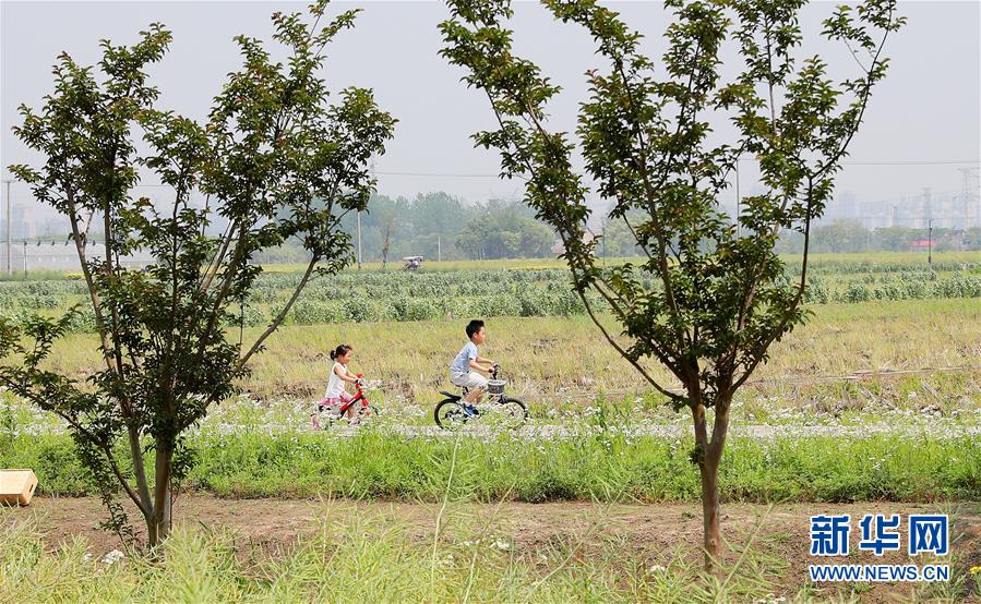 （新華全媒頭條·走向我們的小康生活·圖文互動）（14）城市，讓人民生活更美好