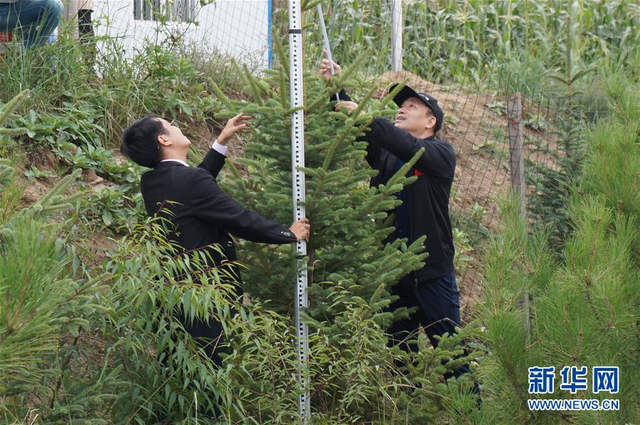 （決戰決勝脫貧攻堅·圖文互動）（2）甘肅定西黃土高坡上，有片“福州林”