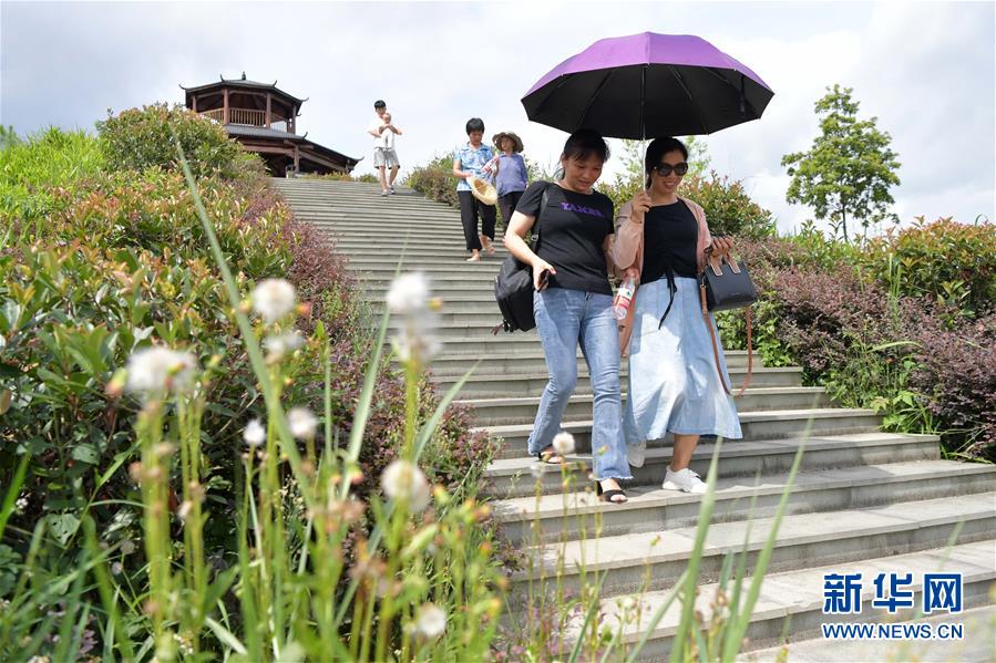 （走向我們的小康生活·圖文互動）（1）從廢棄礦山到生態“福地”——江西尋烏戰荒記 