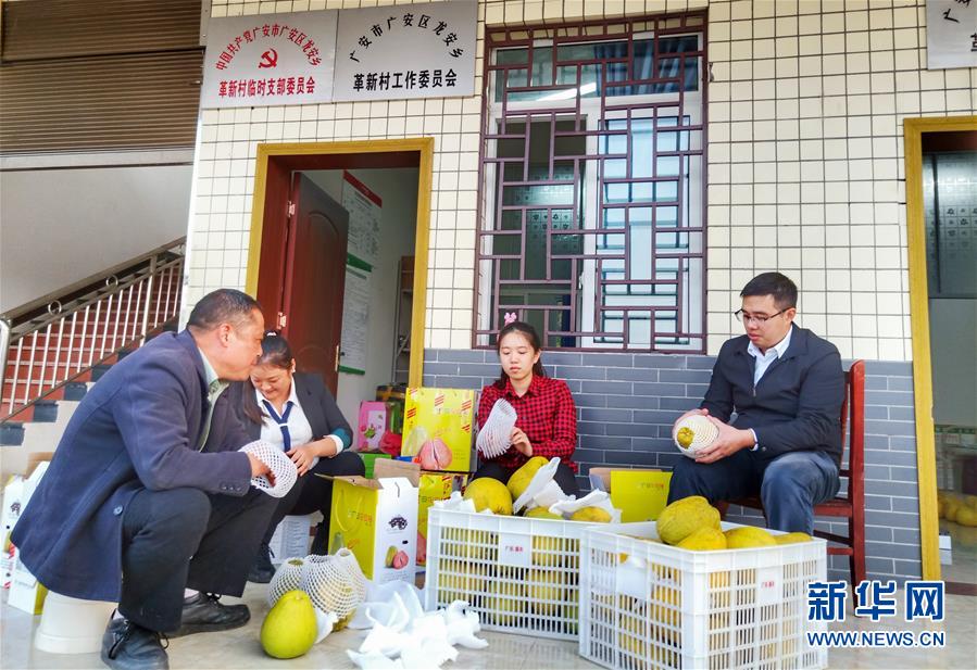 （新華全媒頭條·五中全會精神在基層·圖文互動）（1）奮發新青年　逐夢新征程——各地青年學習貫徹落實五中全會精神觀察
