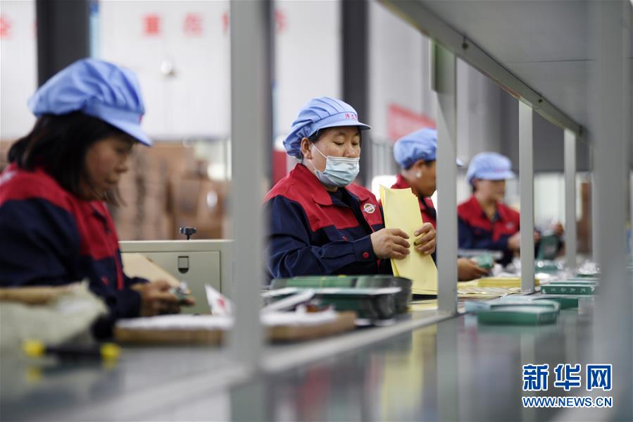 （在習近平新時代中國特色社會主義思想指引下——新時代新作為新篇章·習近平總書記關切事·圖文互動）（1）“綠色銀行”發(fā)工資、“股東”分紅來敲門……——探索長效脫貧致富新機制見聞