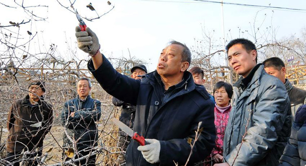 “趕路”在太行山上——追尋新時期共產黨人的楷模李保國的生命足跡