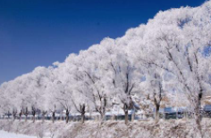 全國初雪時間表出爐 看看你離初雪還有多遠？