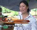 蘆山七日祭:傷過留痕希望不滅