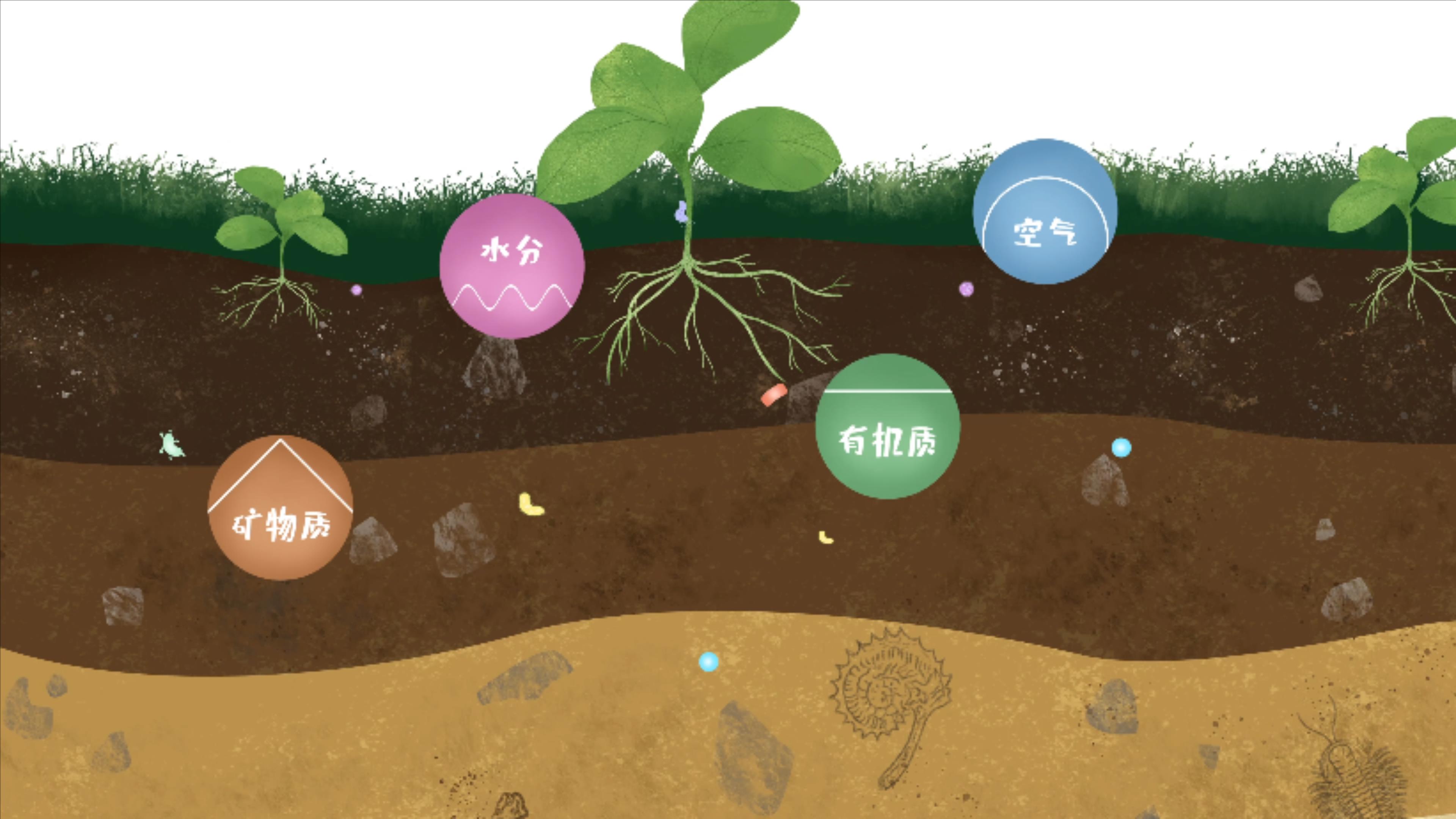 土壤由礦物質(zhì)、有機(jī)質(zhì)、水分、空氣及包括微生物在內(nèi)的生物體等組成