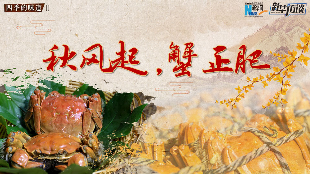 秋風起，蟹正肥