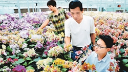 臺(tái)商眼中的改革開(kāi)放：風(fēng)景這邊獨(dú)好 要去，要去，要去！