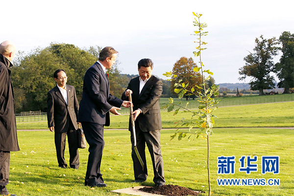 兩國領(lǐng)導(dǎo)人一同在別墅草坪，共同種下象征中英友誼的橡樹。新華社記者 鞠鵬 攝