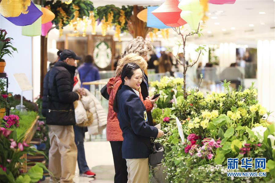 （國(guó)際）（6）紐約：“春日童話(huà)”花展亮相梅西百貨