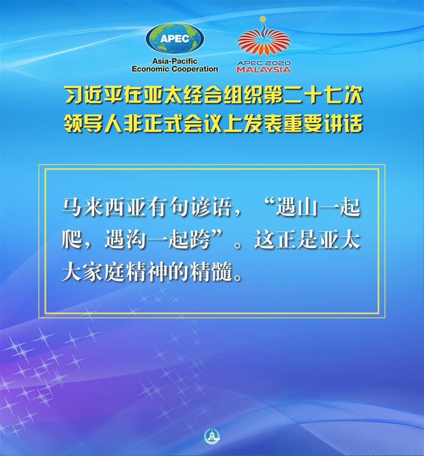 （圖表·海報）［外事］習近平出席亞太經合組織第二十七次領導人非正式會議并發表重要講話（10）